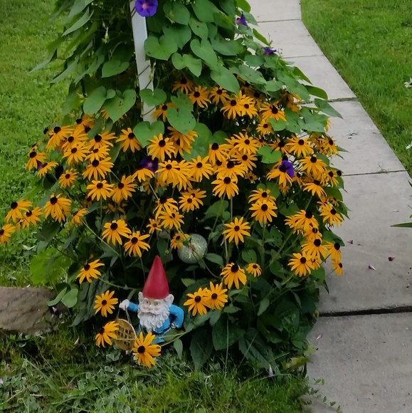 Meet your Posher, Riss - Picture 2 of 7